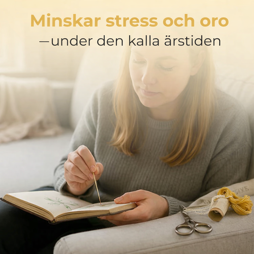 Broderibok™ | Från nybörjare till vacker broderistil på nolltid