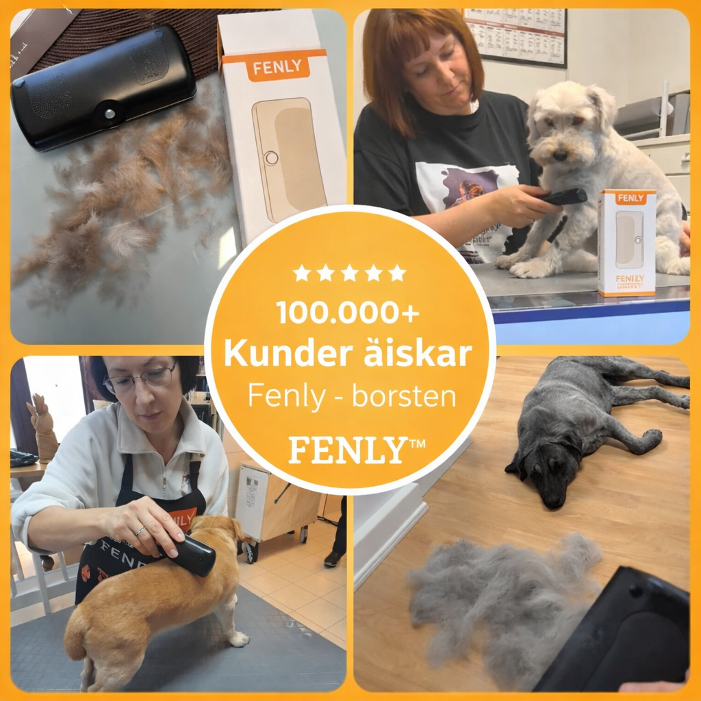 Fenly™ | Hundborste