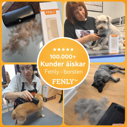 Fenly™ | Hundborste