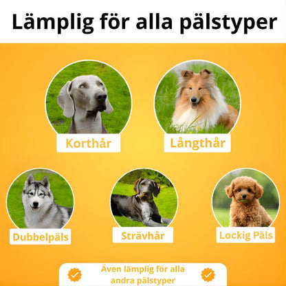 Fenly™ | Hundborste